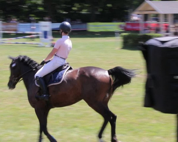 Reitturnier Nienburg 2021