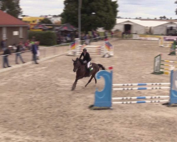 Springreitturnier Hohburg 2021