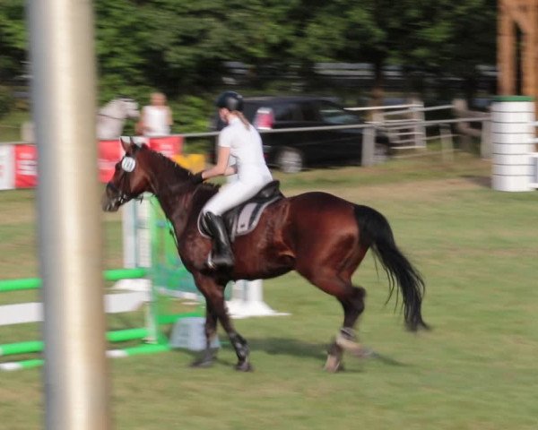 Reitturnier Nienburg 2021
