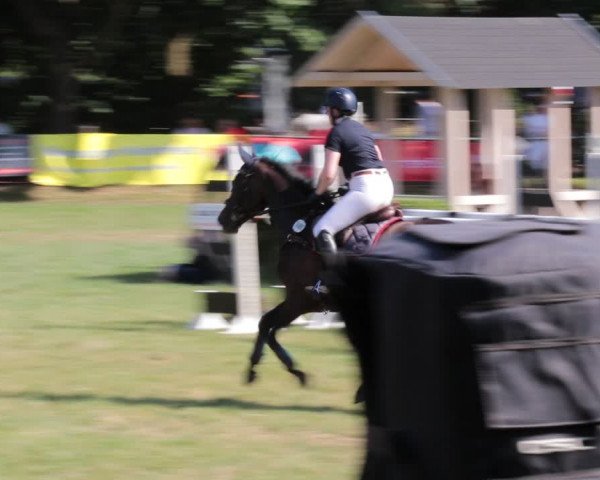 Reitturnier Nienburg 2021