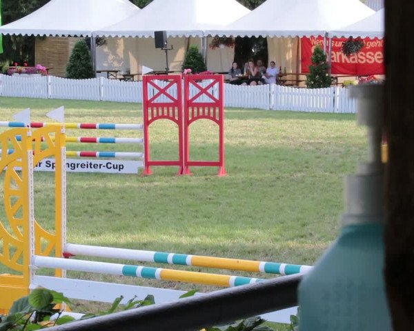 Reitturnier Nienburg 2021