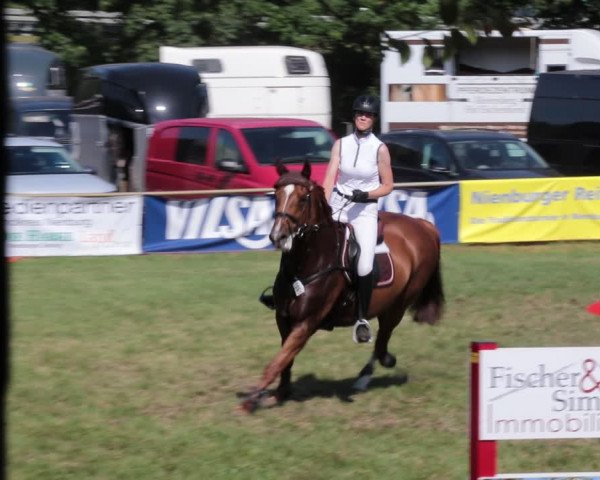 Reitturnier Nienburg 2021
