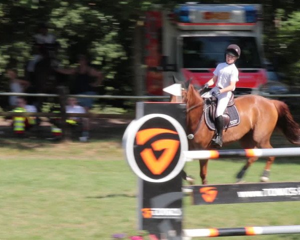 Reitturnier Nienburg 2021