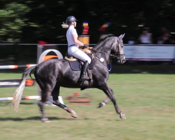 Reitturnier Nienburg 2021