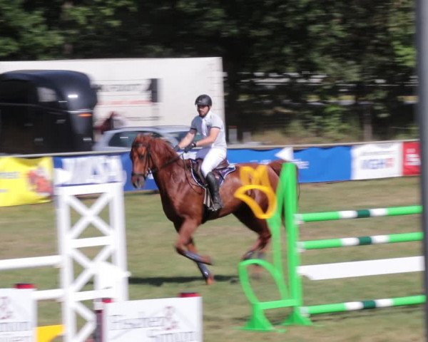 Reitturnier Nienburg 2021