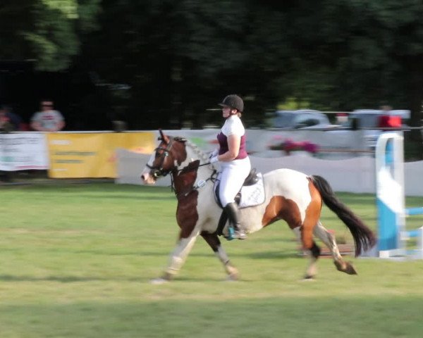 Reitturnier Nienburg 2021