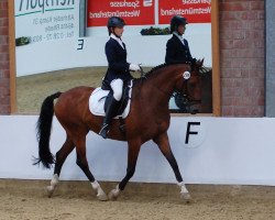 dressage horse Feuerfalke Finist (Westphalian, 2002, from Florestan I)
