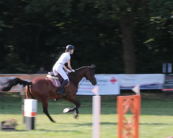 Reitturnier Nienburg 2021