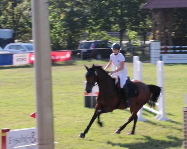 Reitturnier Nienburg 2021