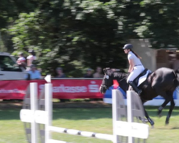 Reitturnier Nienburg 2021