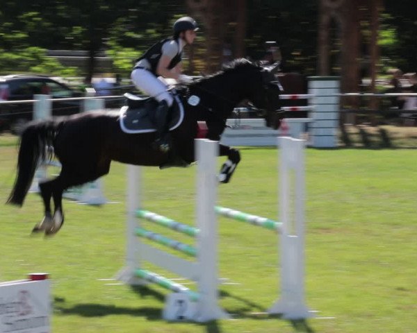 Reitturnier Nienburg 2021