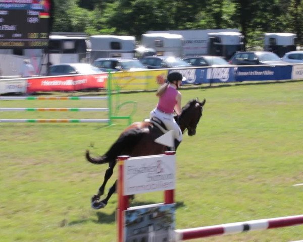 Reitturnier Nienburg 2021