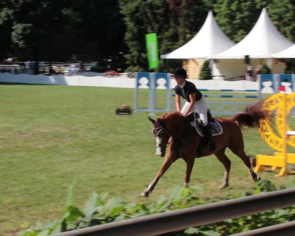 Reitturnier Nienburg 2021