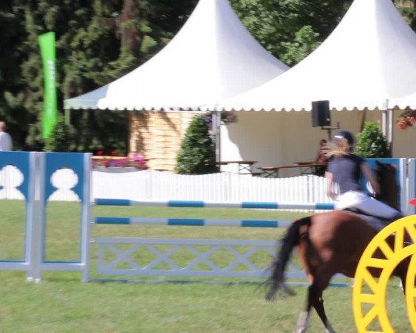 Reitturnier Nienburg 2021