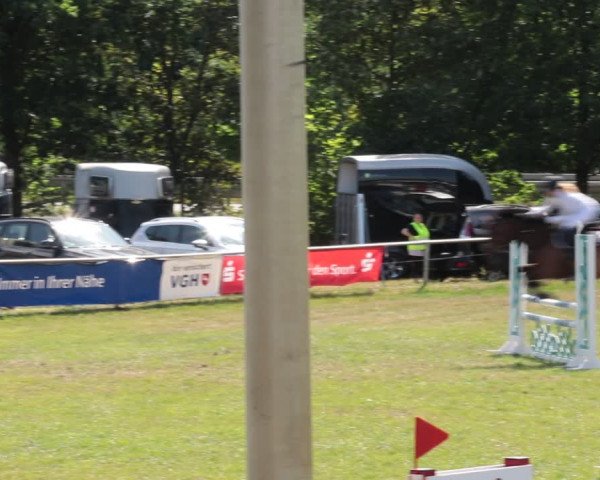 Reitturnier Nienburg 2021