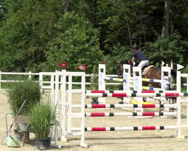 Reitturnier Nordstetten- Horb 2021
