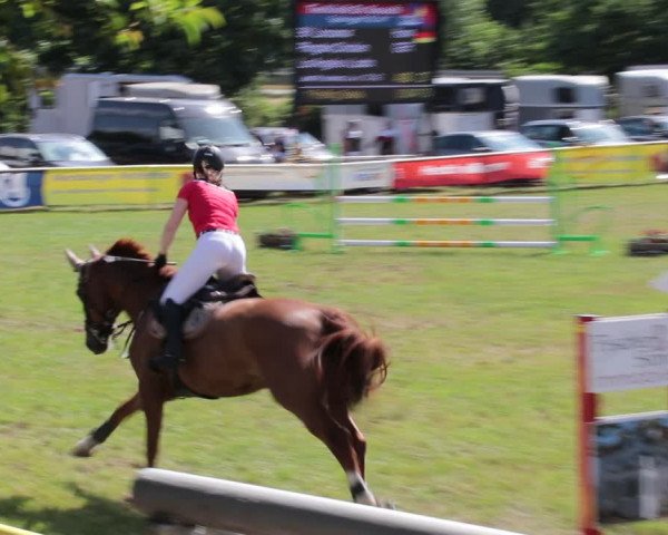 Reitturnier Nienburg 2021