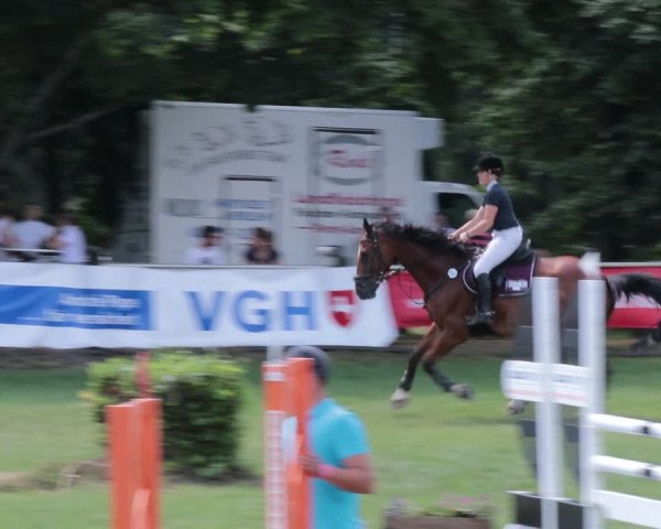 Reitturnier Nienburg 2021