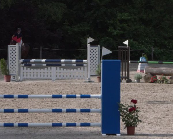 Reitturnier Meilen 2021