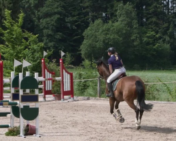 Reitturnier Meilen 2021