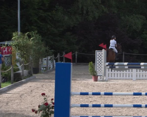 Reitturnier Meilen 2021