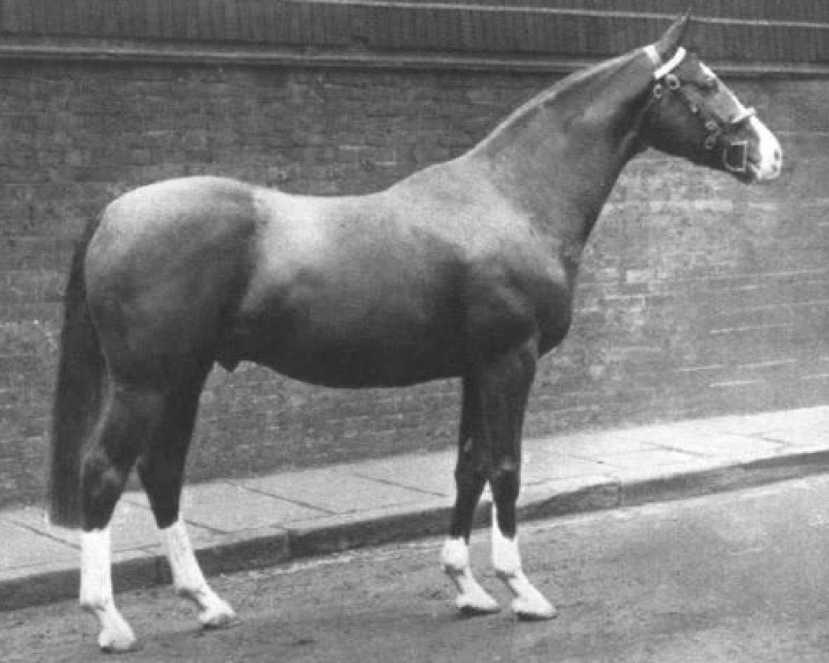 Deckhengst Silverdale Tarragon xx (Englisches Vollblut, 1930, von Tabarin xx)