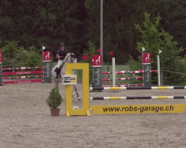 Reitturnier Meilen 2021