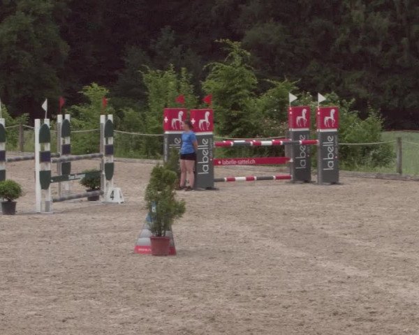 Reitturnier Meilen 2021