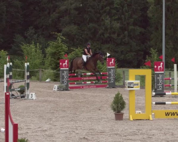 Reitturnier Meilen 2021