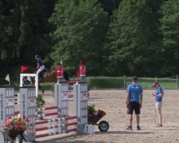 Reitturnier Meilen 2021