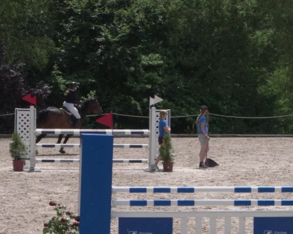 Reitturnier Meilen 2021