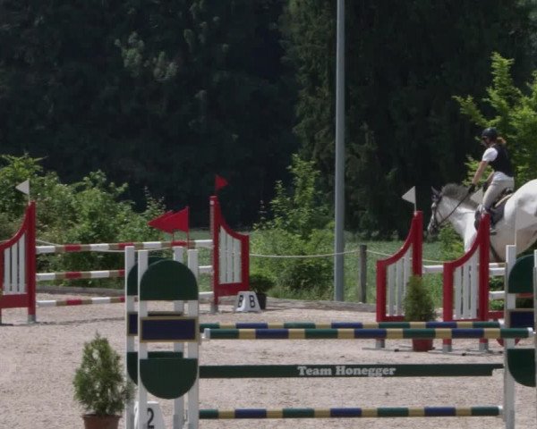 Reitturnier Meilen 2021