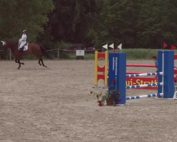 Reitturnier Meilen 2021