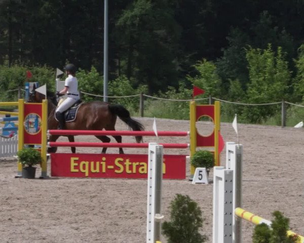 Reitturnier Meilen 2021