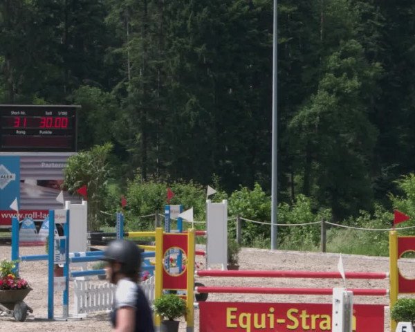 Reitturnier Meilen 2021