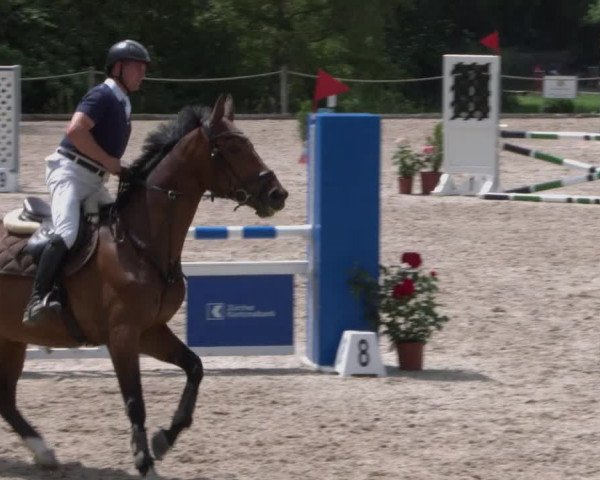 Reitturnier Meilen 2021