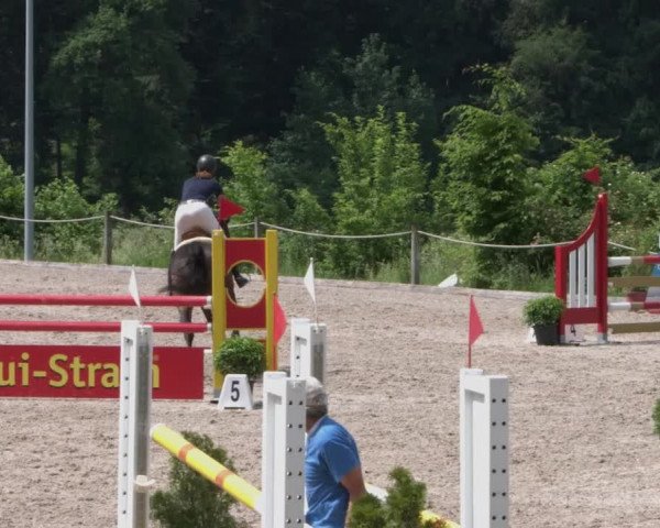 Reitturnier Meilen 2021