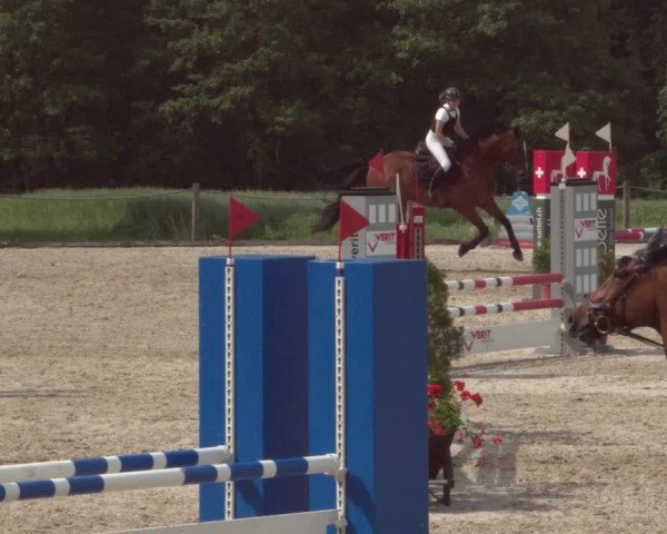Reitturnier Meilen 2021
