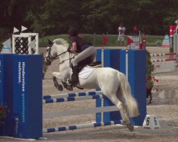 Reitturnier Meilen 2021