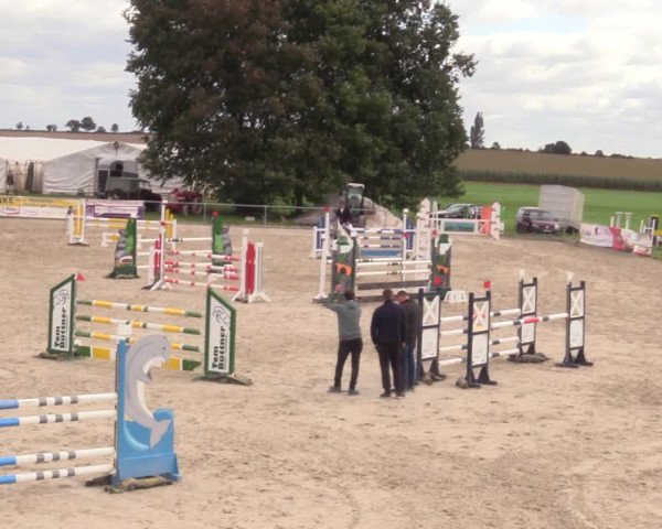 Springreitturnier Hohburg 2021