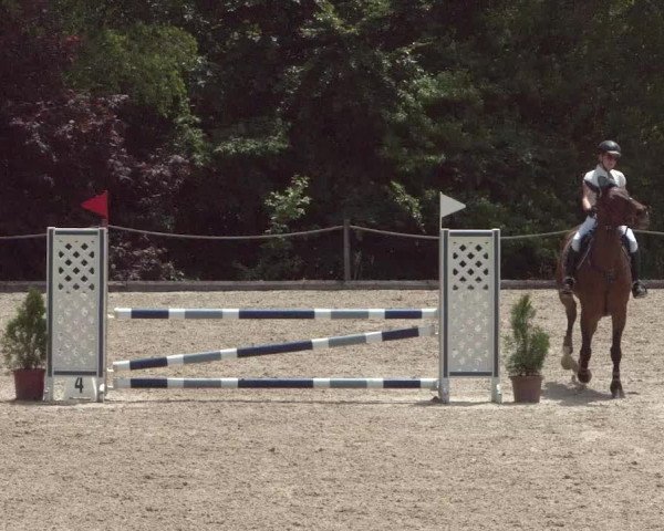 Reitturnier Meilen 2021