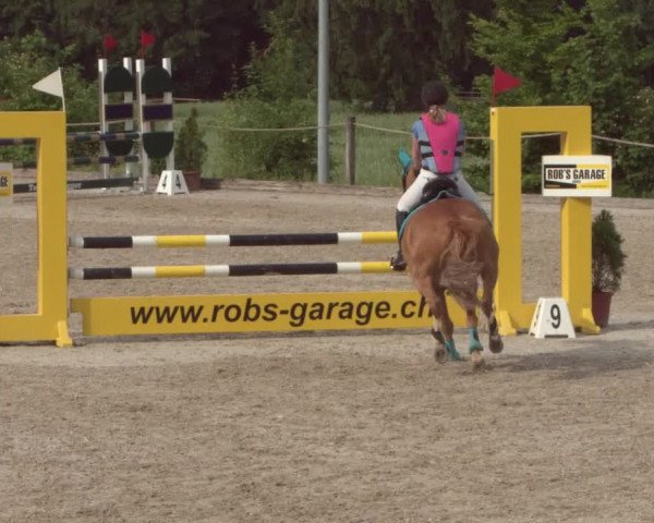 Reitturnier Meilen 2021