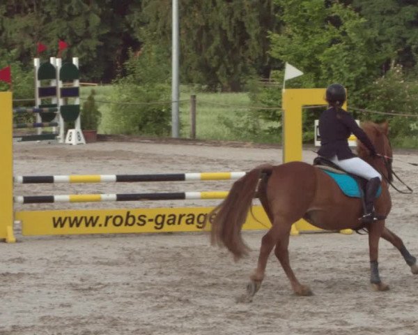 Reitturnier Meilen 2021
