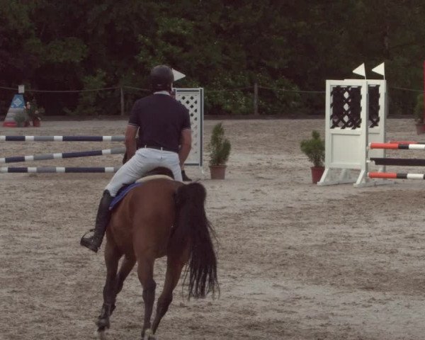 Reitturnier Meilen 2021