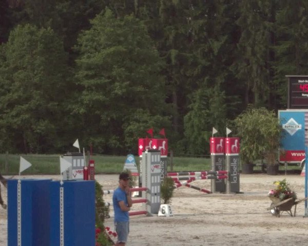 Reitturnier Meilen 2021