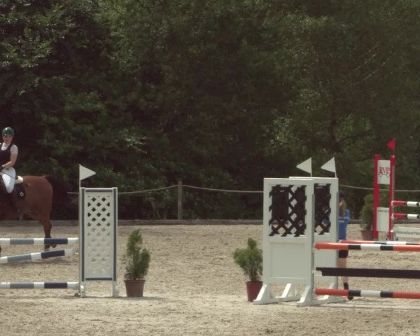 Equestrian Show Meilen 2021