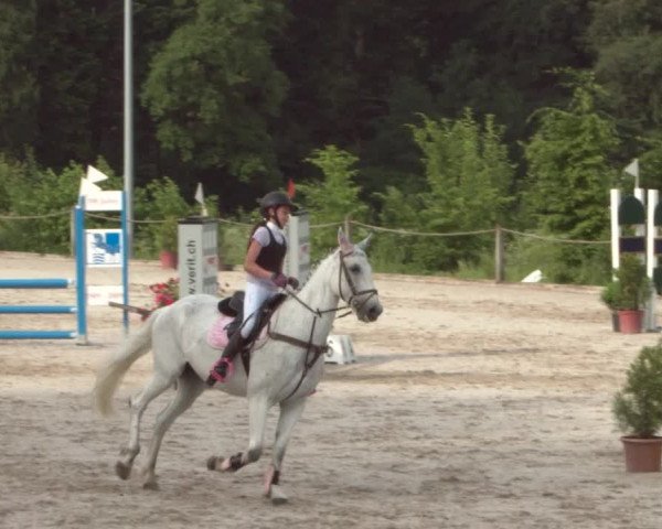 Reitturnier Meilen 2021
