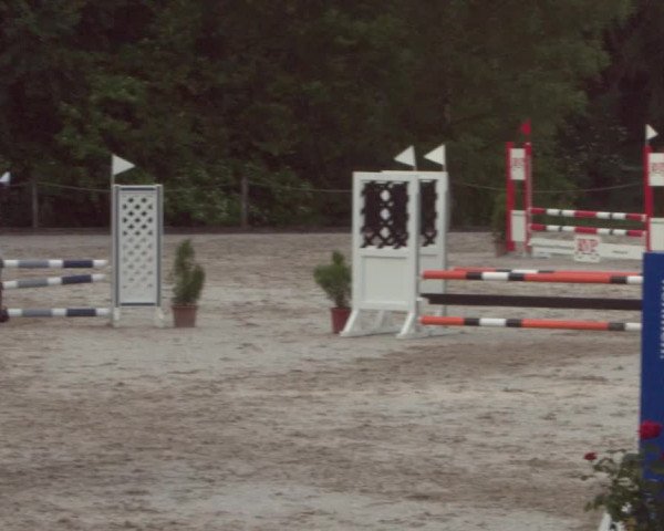 Reitturnier Meilen 2021