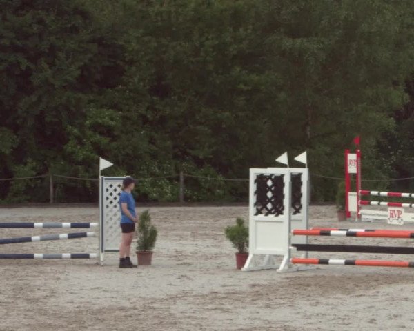Reitturnier Meilen 2021