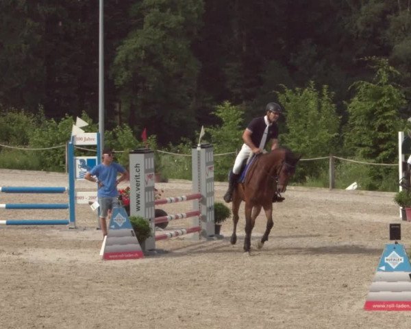 Reitturnier Meilen 2021